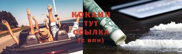 стаф Белокуриха