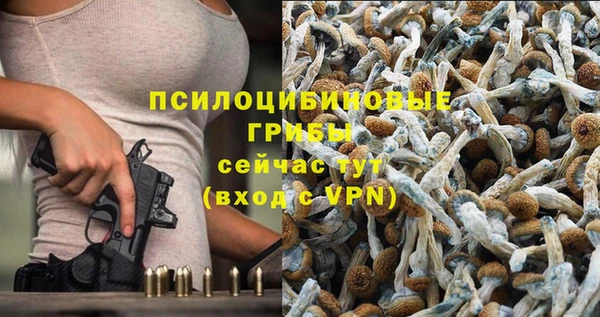 мдма Богородск