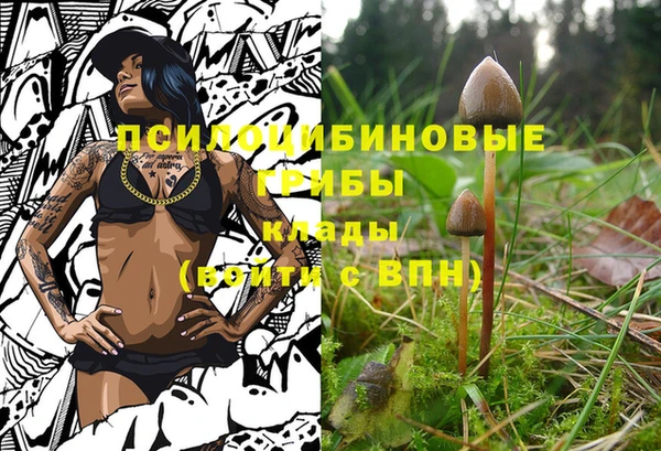 мдма Богородск