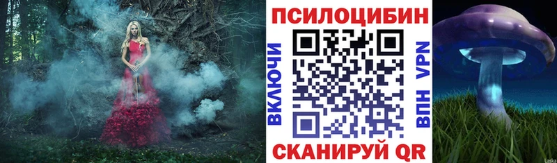 Псилоцибиновые грибы GOLDEN TEACHER  где купить наркоту  Кирс 
